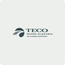 Tampa Electric Company