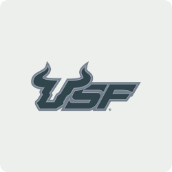 University of South Florida